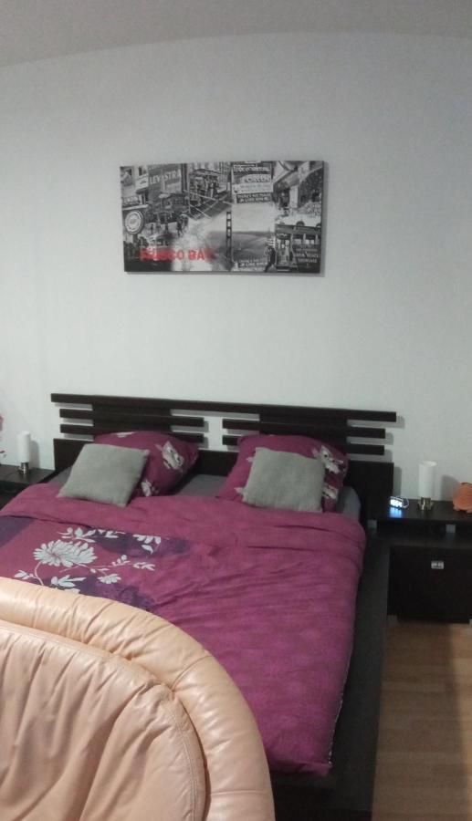 Charmant Studio Classe 3 Etoiles Au Coeur De Нидерброн-ле-Бен Екстериор снимка